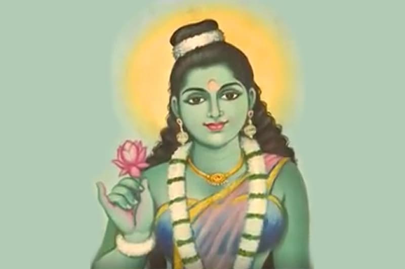 වායාම 74: වන්නි වල්ලිලා (සුජිත් අක්කරවත්ත)