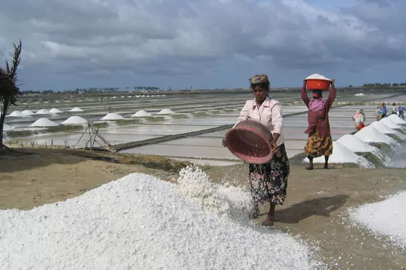 දිවයින පුරා ලුණු හිඟයක්? - රට ලුණු එන දවස මෙන්න