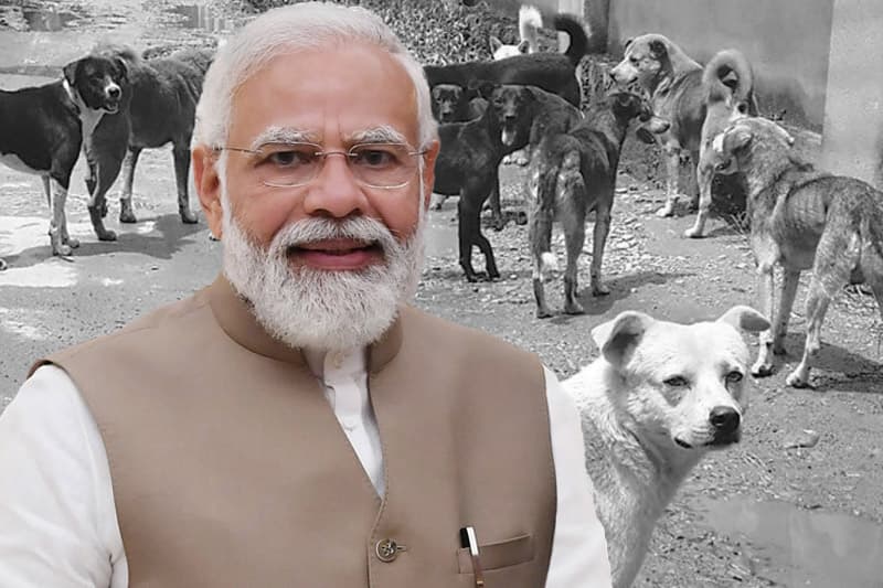 මෝදි එන එකට අනුරාධපුරේ බල්ලෝ ඉවත් කරන එක මෝඩ වැඩක්! | පශු වෛද්ය චමිත් නානායක්කාර
