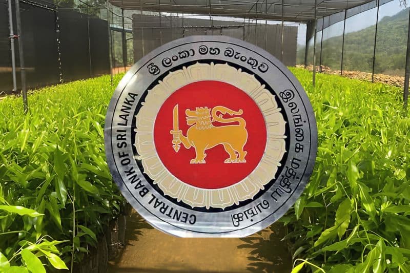 මහ බැංකු අනතුරු ඇඟවීම: වගා ආයෝජන මුදල් වෙනත් ව්යාපාරවලට