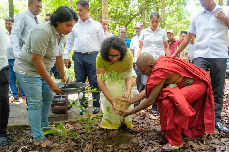 පරිසර හානිවලට කෝටි දෙකක දඩ: නීති තද වෙයි