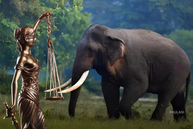 කාවන්තිස්ස ඇතාගේ මරණයට හේතුව සෙවීමට විද්යාත්මක වාර්තාවක්