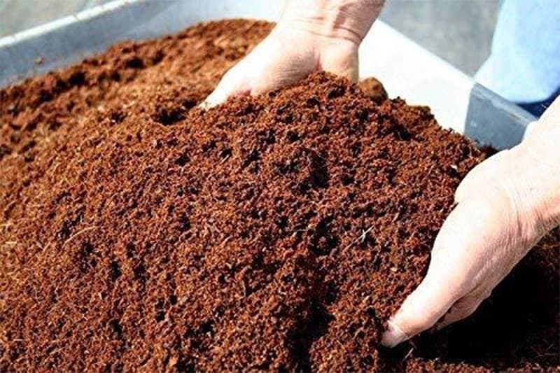 ඩොලර් මිලියන 130ක සෞදි කොහුබත් ගනුදෙනුව අහිමි වූ හැටි