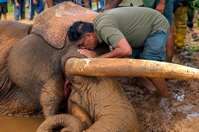 වසර 30 ට පසු කාවන්තිස්ස සජිත්ට යළි දුන් දේ