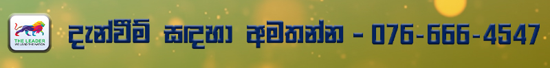 leader s