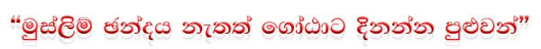 Text 87